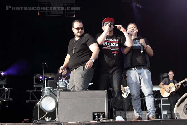 CONCERT POUR LA PALESTINE - 2014-09-13 - LA COURNEUVE - Parc Departemental - Grande Scene - 